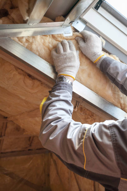 Best Garage Insulation  in Solana Beach, CA