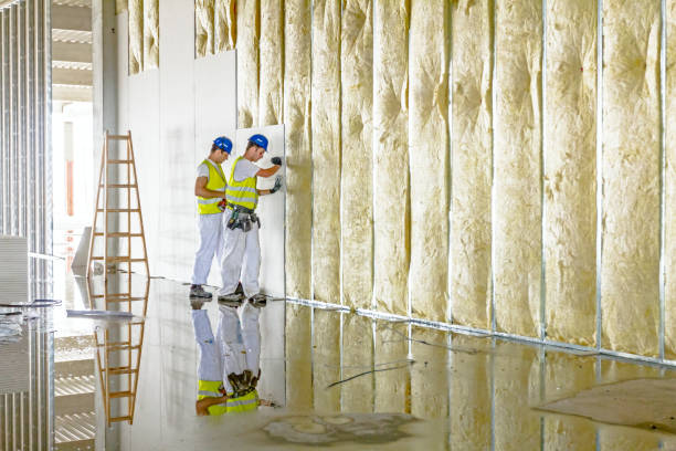 Best Spray Foam Insulation  in Solana Beach, CA